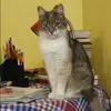 Отзыв от Карина Самсонова